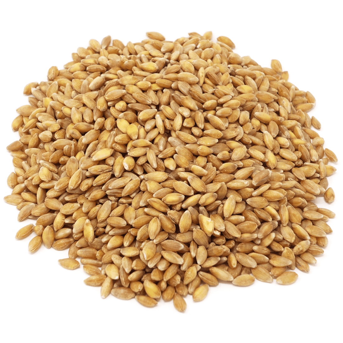 Einkorn Beeren, Bio