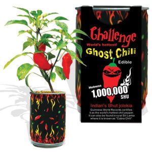 Challenge – Ghost-Chili-Pflanze Magic Plant, 1.000.000 SHU