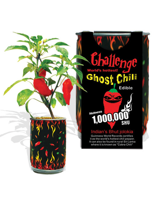 Herausforderung Ghost Chili Zauberpflanze – 1.000.000 SHU
