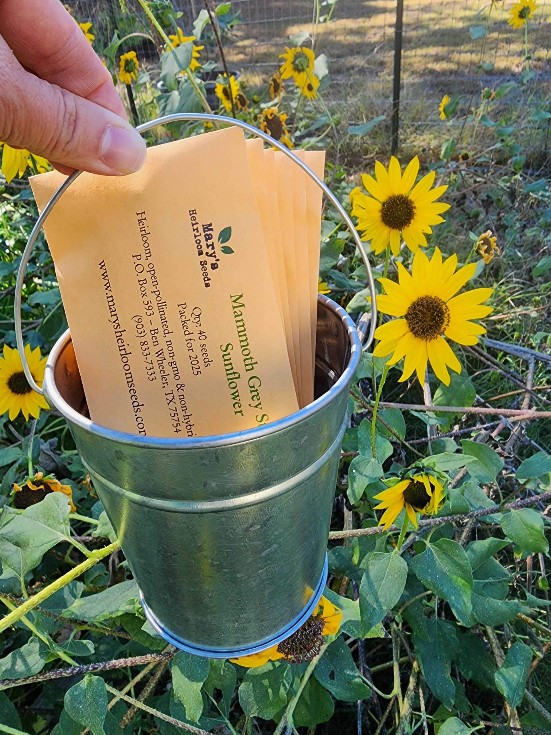 Mini galvanisierte Eimer – Geschenkset