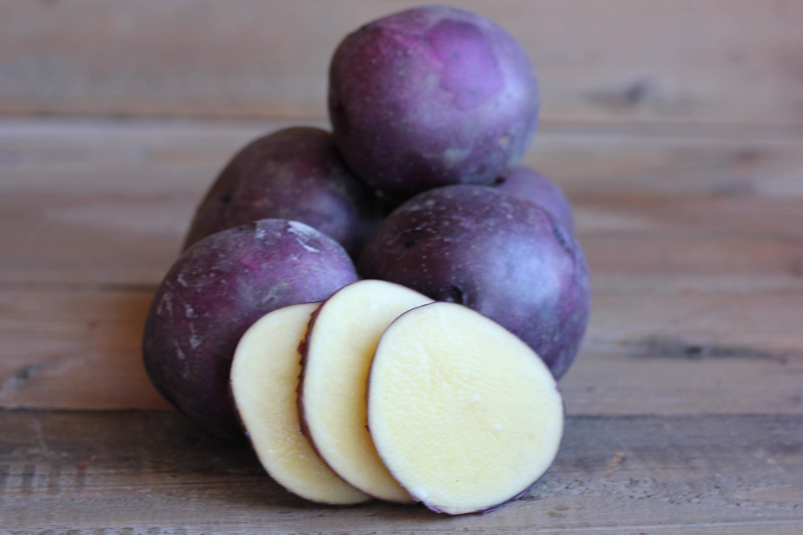 Huckleberry Gold Samen Kartoffel