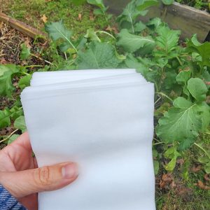 Non gewebt Stoff Sämlinge wachsen Tasche