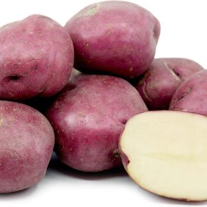 Rote Norland-Saatkartoffel