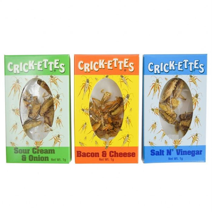 Crick-ettes Snax sortierte Box – 24 Stück