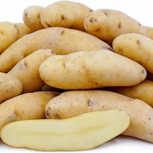 Russian Fingerling Kartoffeln