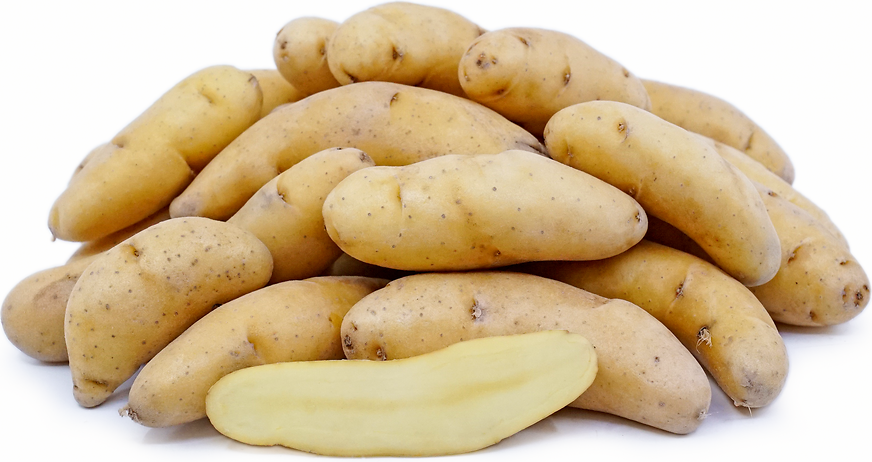 Russische Fingerling Kartoffel