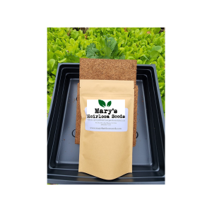Cilantro Microgreens Starter Kit Geschenkbox