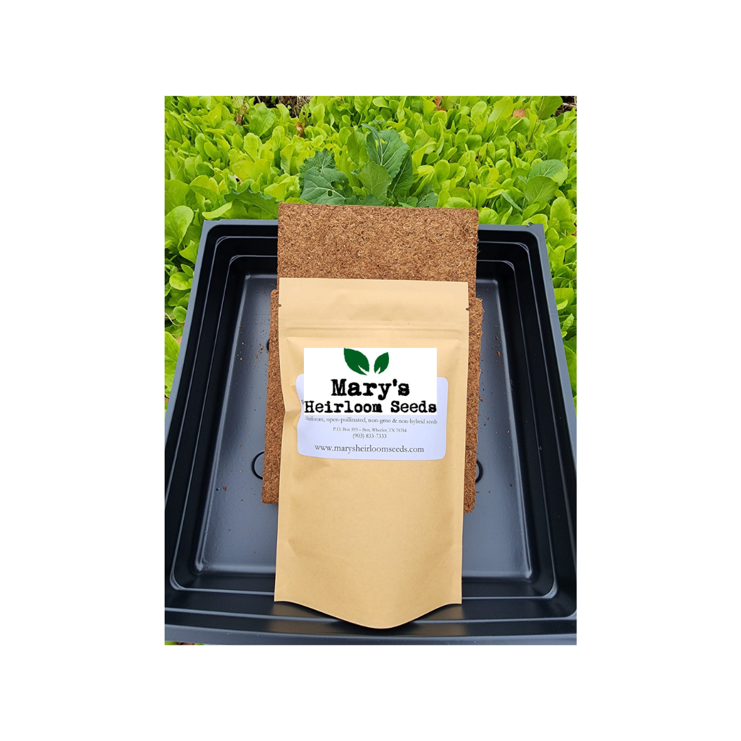 Cilantro Microgreens Starter Kit Geschenkbox