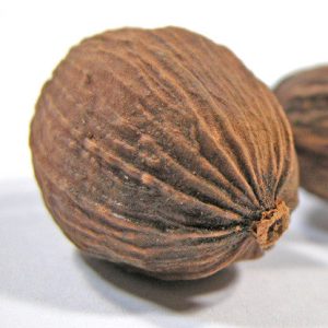 Bickford Muskatnuss Öl
