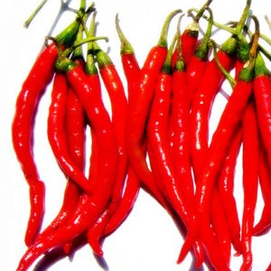 Bickford Chili Öl