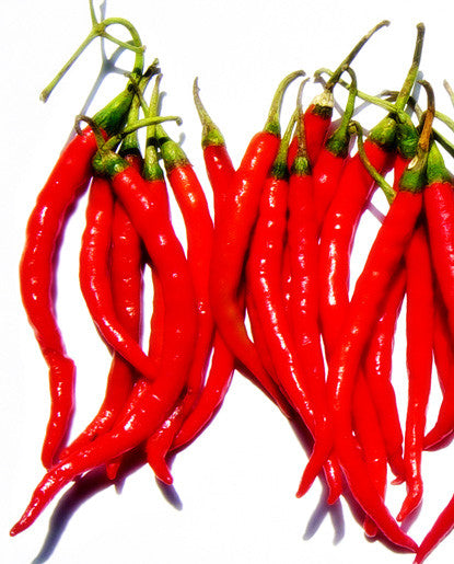 Bickford Chili Öl