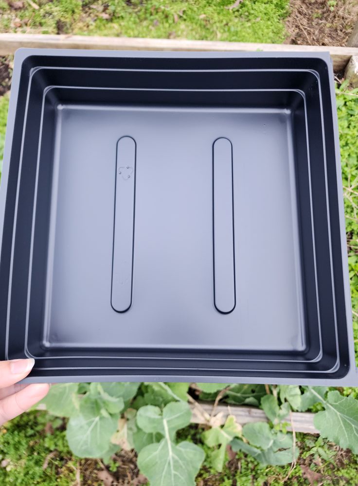 10X10 Wachsende Tabletts