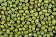 Mung Bean Sprouting Samen