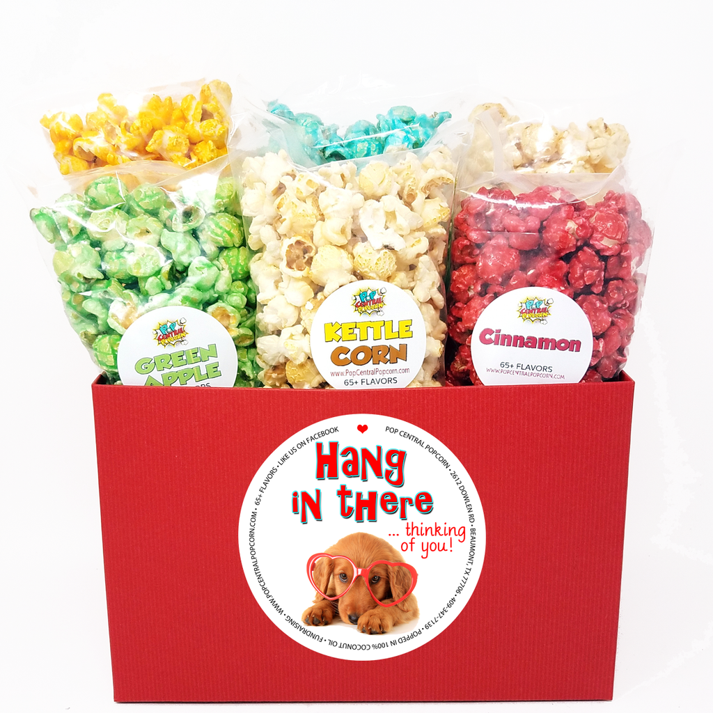 Hang in There – Variety 6 Pack Mini-Taschen