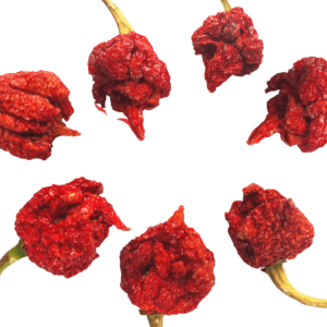 rote Skorpionpfeffer ganze Hülsen (trinidad scorpion)