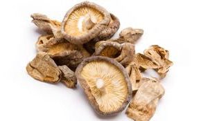 alle Kappen scheiße Pilze