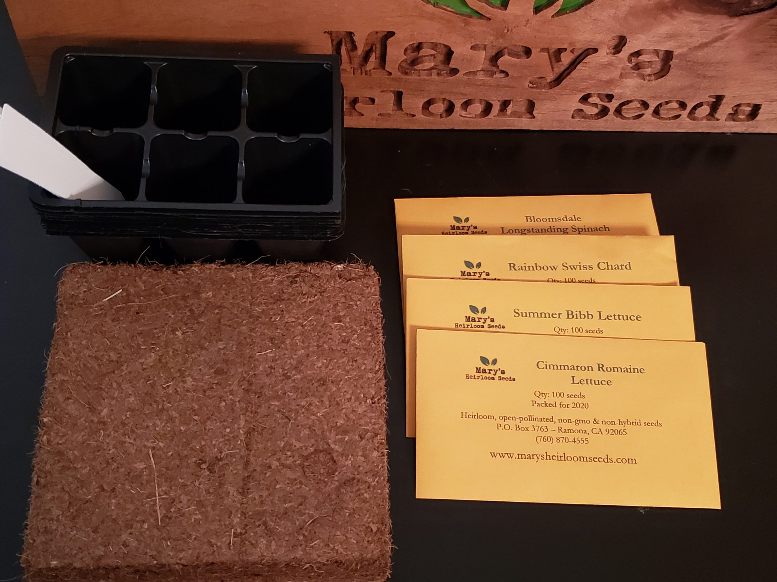 Easy Greens Garten Starter Kit