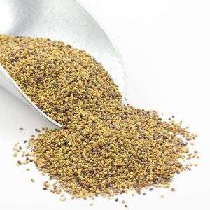Clover Seeds, rot, organisch