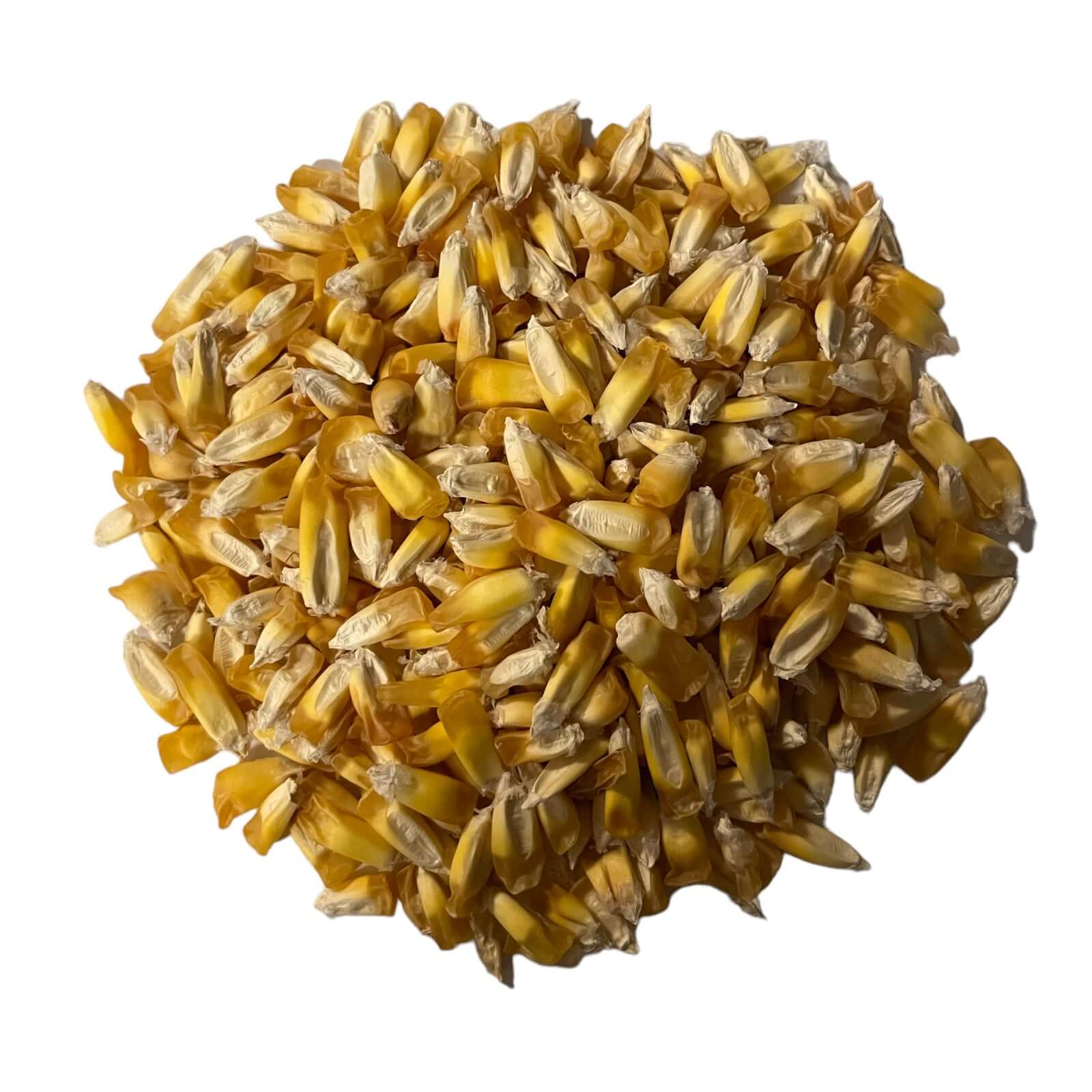 Maiz Chulpe (Chulpe Mais)