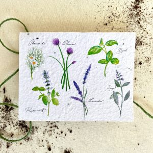 Noten von Samenkarten – Kräutergarten Pflanzbare Samenkarte: Kompostabl