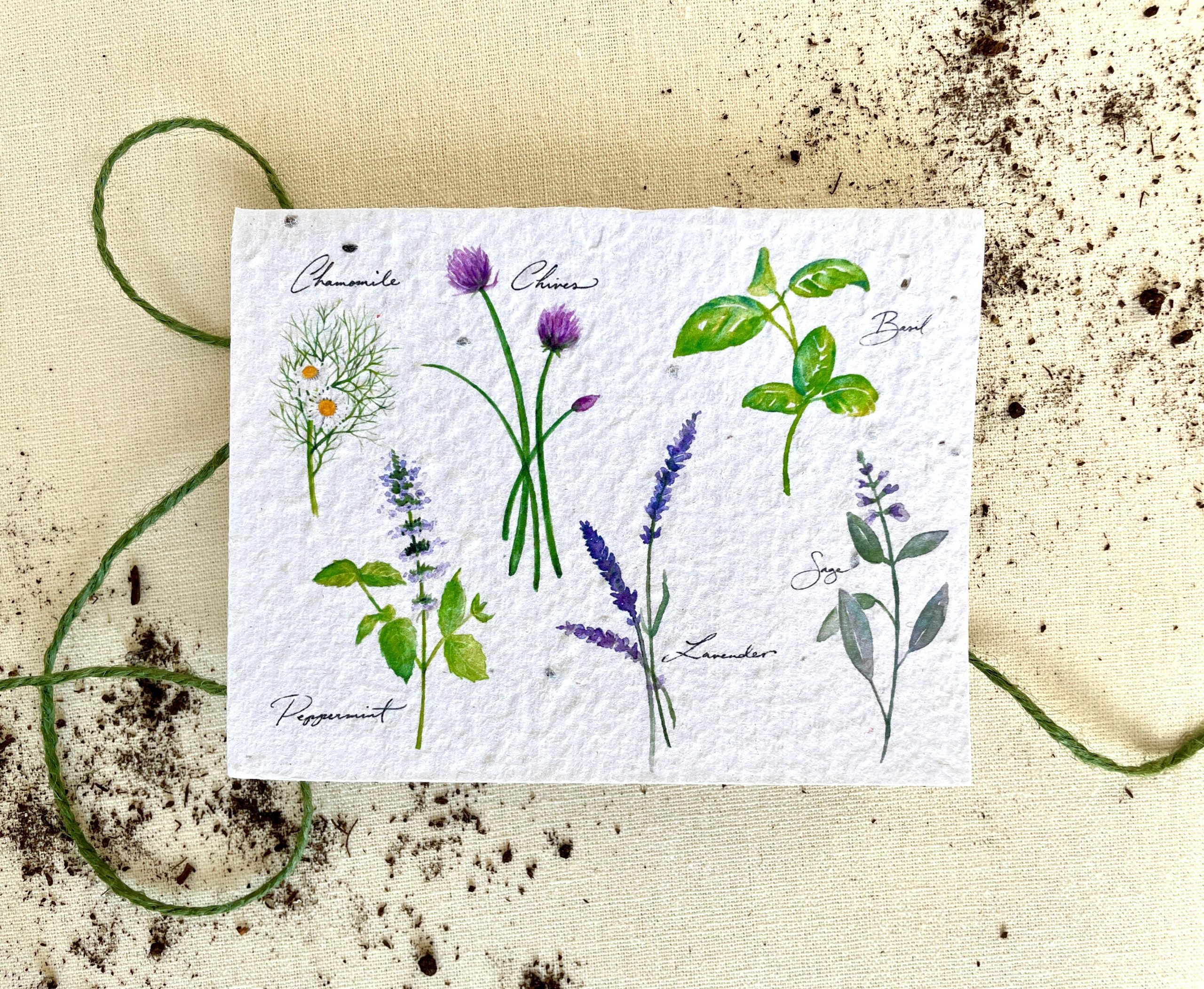 Notizen von Eden Seed Cards – Kräutergarten Pflanzbare Seed Card: Compostabl