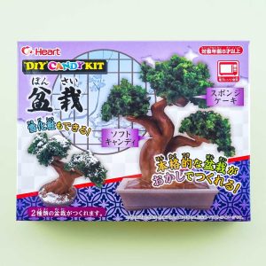 Heart Bonsai Süßigkeiten Herstellung diy Kit