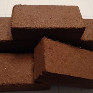 BULK Kokosnusskerne