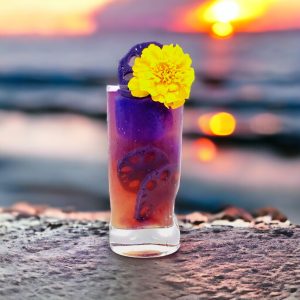 wild Hibiscus Blumen-Unternehmen – Lotus Scheiben in Schmetterling Erbse & Holunderfl