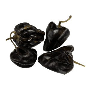 Chilhuacle Negro getrocknetes Chili ganz