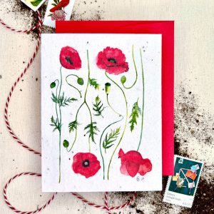 Noten von Samenkarten aus Eden – Mohnfelder Wildflower-Mischung pflanzenbarer Samen