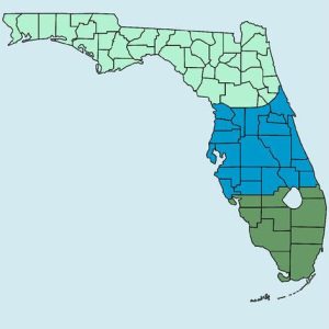 FLORIDA Garden Seeds Mini-Kombipackung