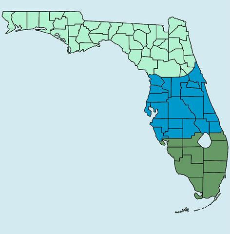 FLORIDA Garden Seeds Mini-Kombipackung