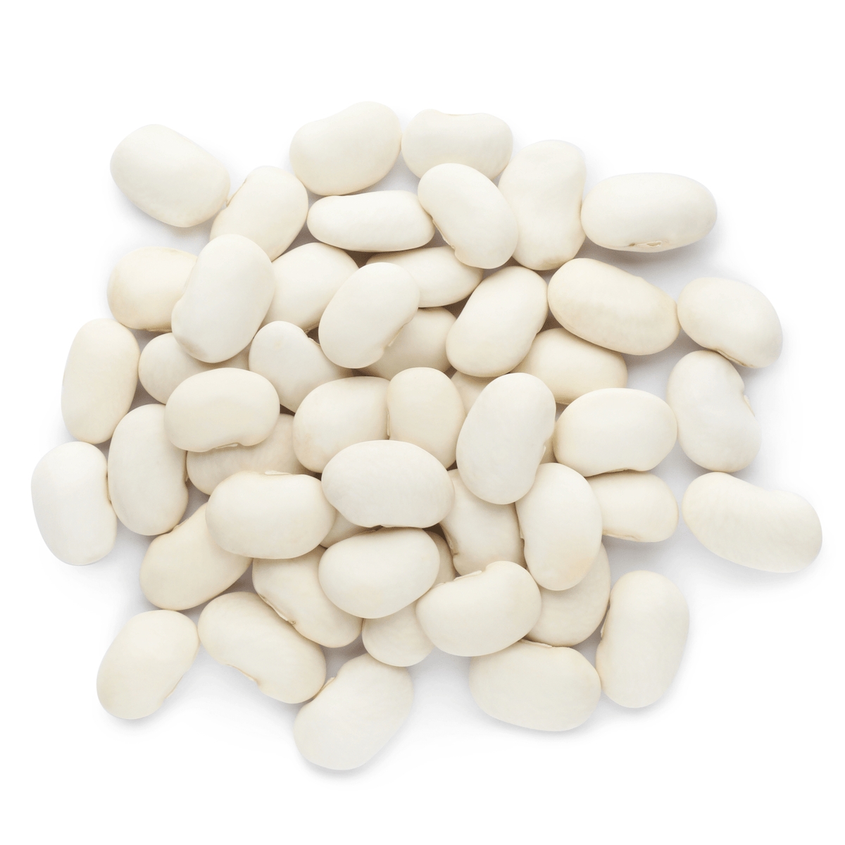 Dunkelblau Beans