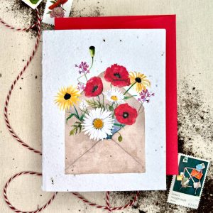 Noten von Samenkarten aus Eden – sonnenverwöhnte Wildblume pflanzenbar