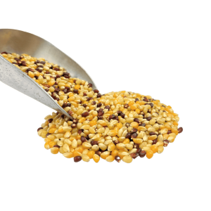 Popcorn, dreifarbig, organisch