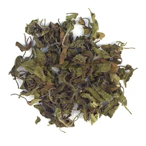 rama tulsi (heiliges Basilikum)