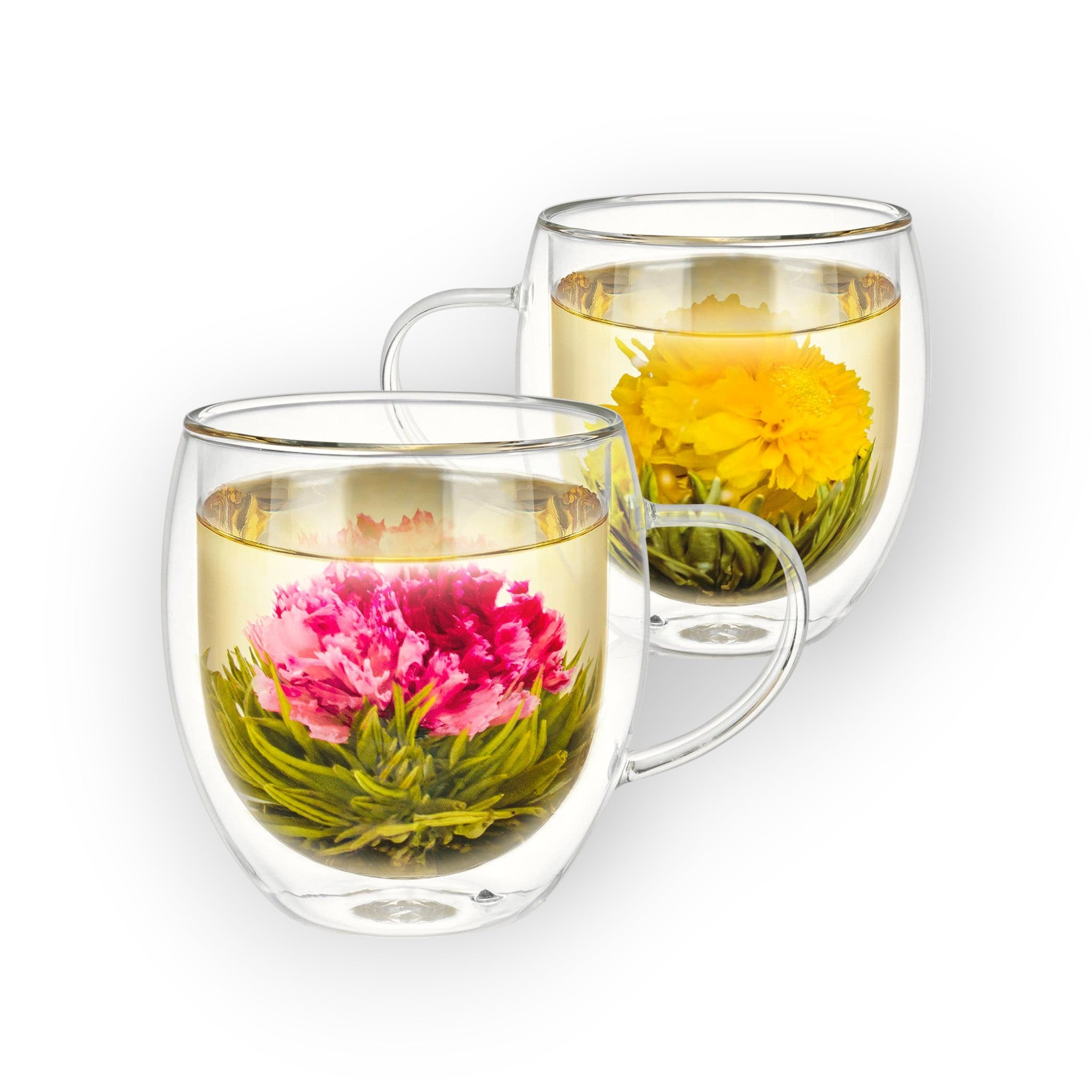 Teabloom – Teabloom Übergroße Isolierte Borosilikatglas Tassen -17 oz