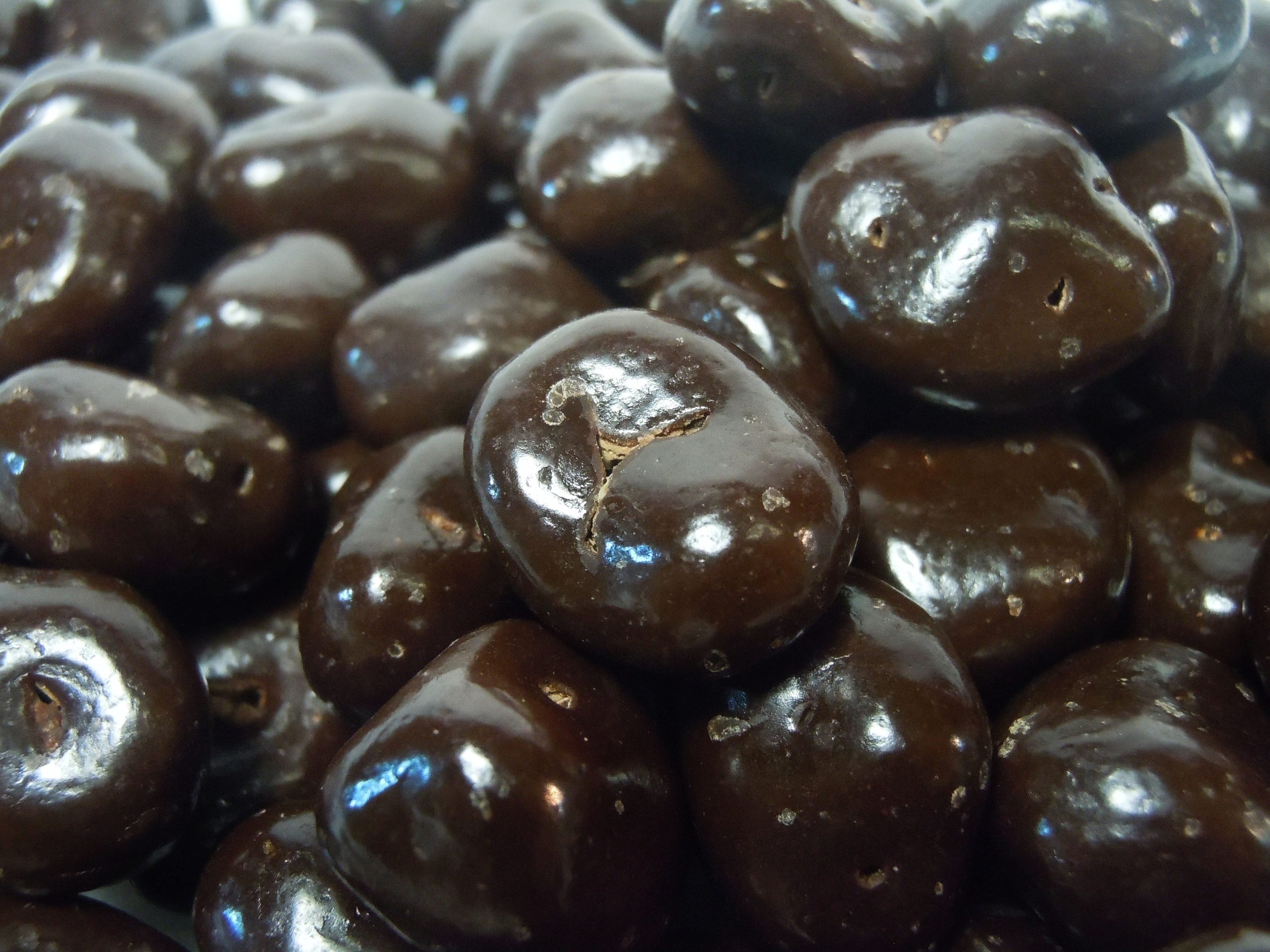 Kein Zucker hinzugefügt Dunkle Schokolade bedeckte Rosinen – 8 oz Beutel