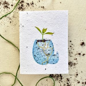 Noten von eden Samenkarten – Schönheit aus Asche pflanzenbarer Wellness-Mix se