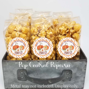 Herbst Polkadot Kürbis – Geburtstagsparty favors