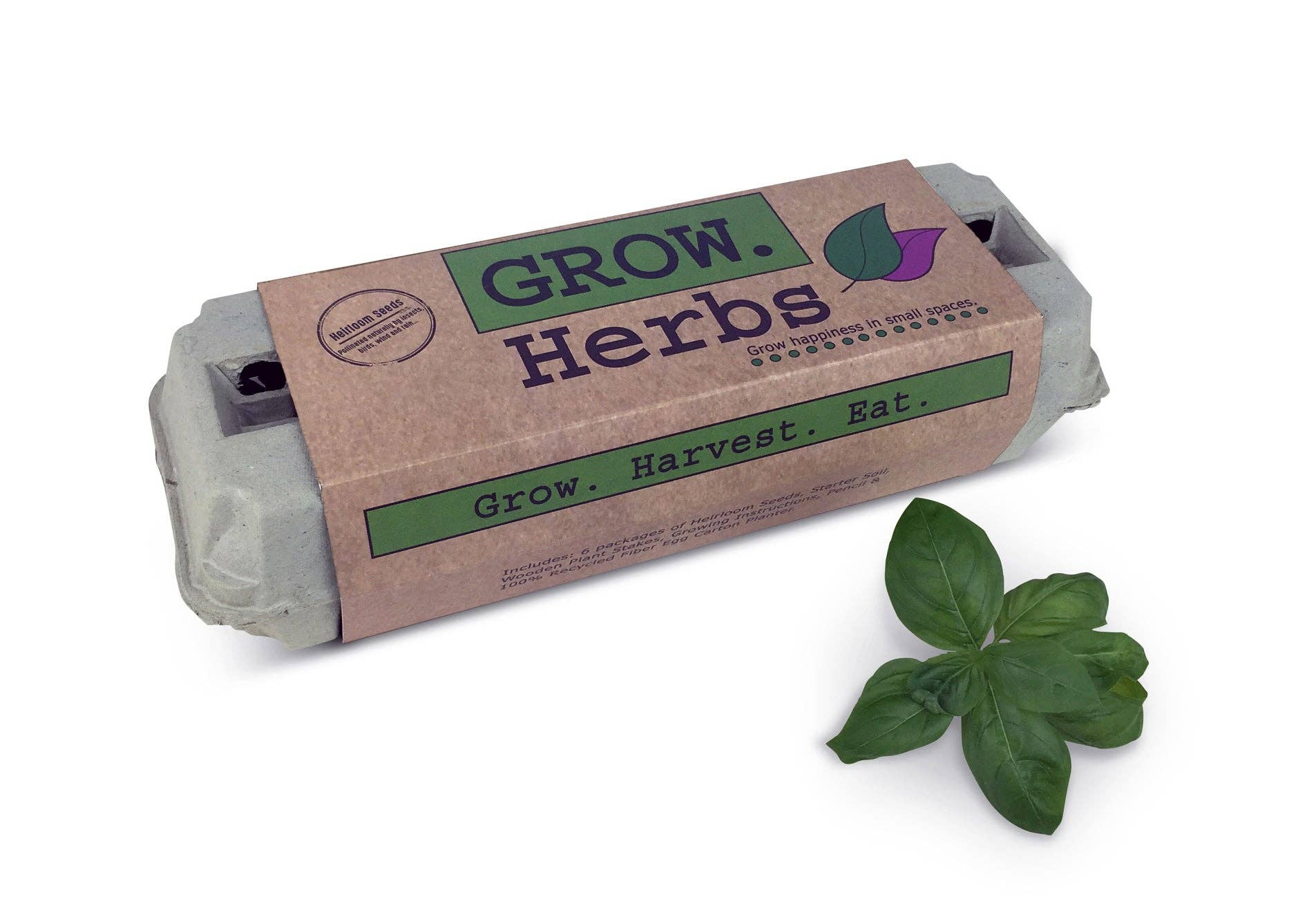Hinterhof Safari Company – Kräutergarten Growkit