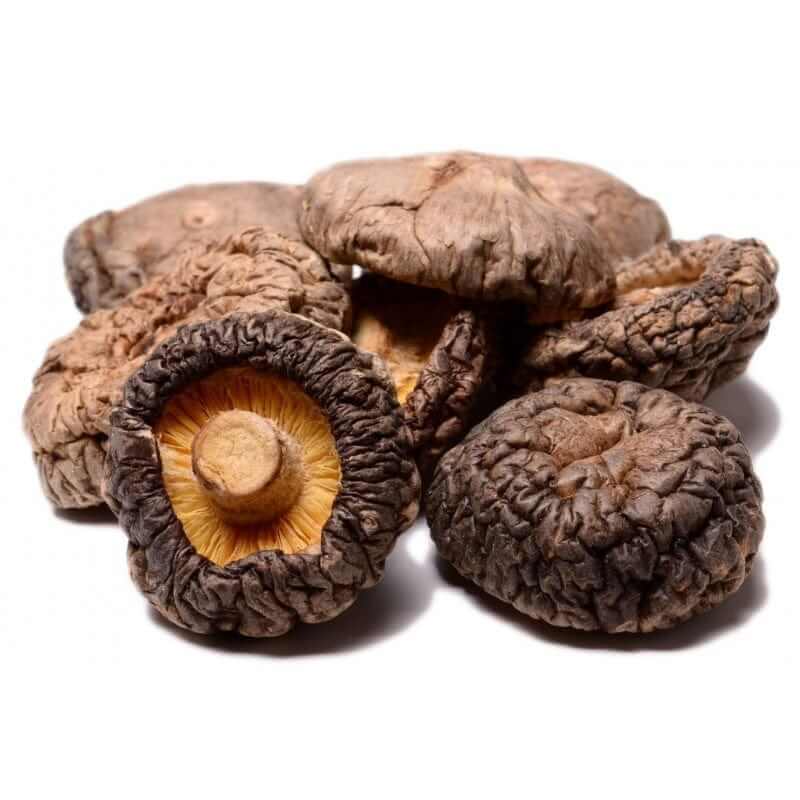 Getrocknete Bio-Pilze – Protein & Ballaststoffe