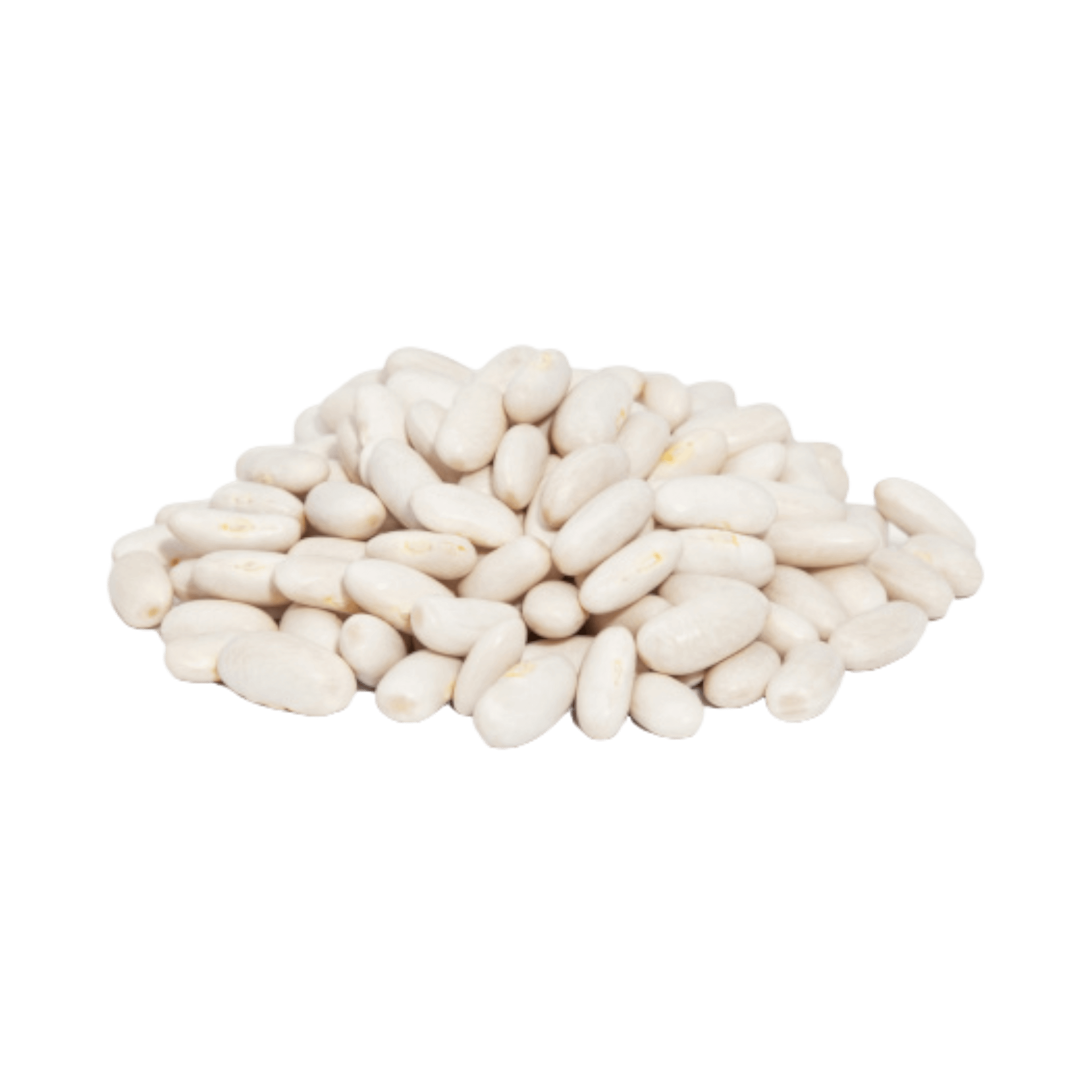 Große Northern Beans trocken