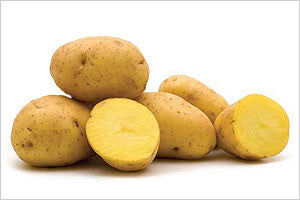 Yukon Gold Samen Kartoffel