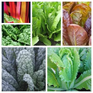 SUPER Greens Seed Combo Packung