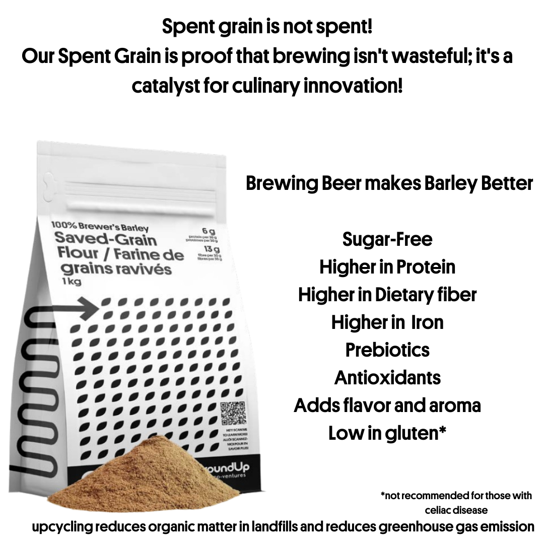 GroundUp Eco Venture 100% Brewer's Barley Saved-Grain Mehl, Upcycled Tasche – 1 Beutel (1 kg)