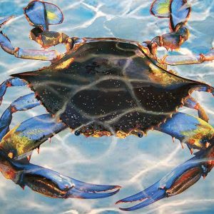 Blau Crab Bay Puzzle – Das blaue Crab Bay Puzzle