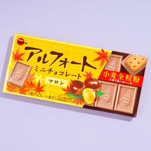 Bourbon Alfort Mini-Schokoladekekse – Kastanien