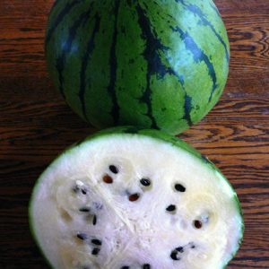 Sahne von Saskatchewan Wassermelone