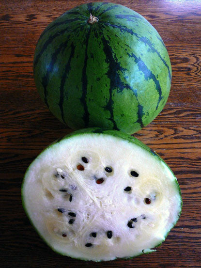 Creme von Saskatchewan Wassermelone